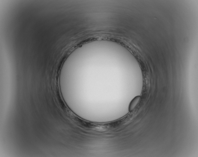 X0000112830611200908210940