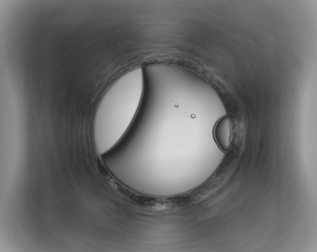 X0000112830612200908210940