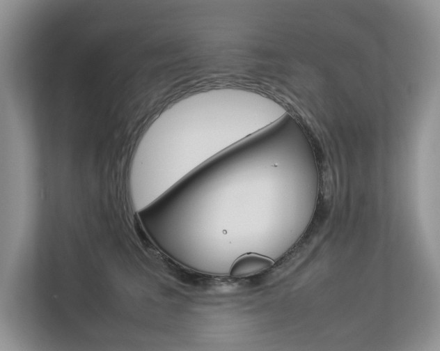 X0000112830613200908210940