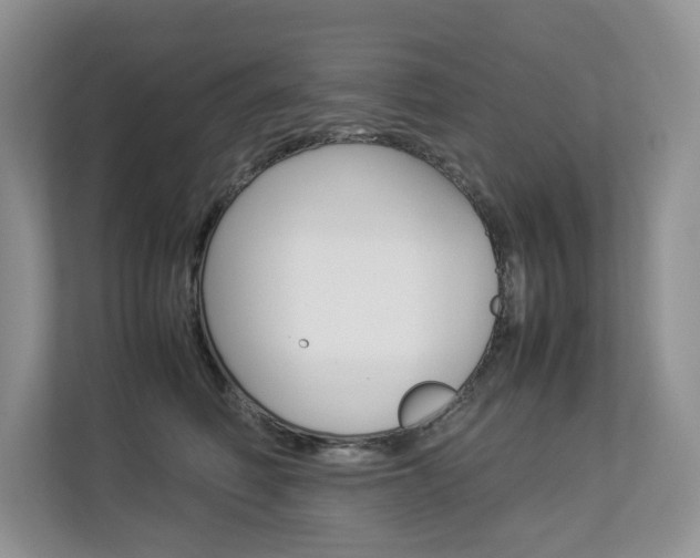 X0000112830614200908210940
