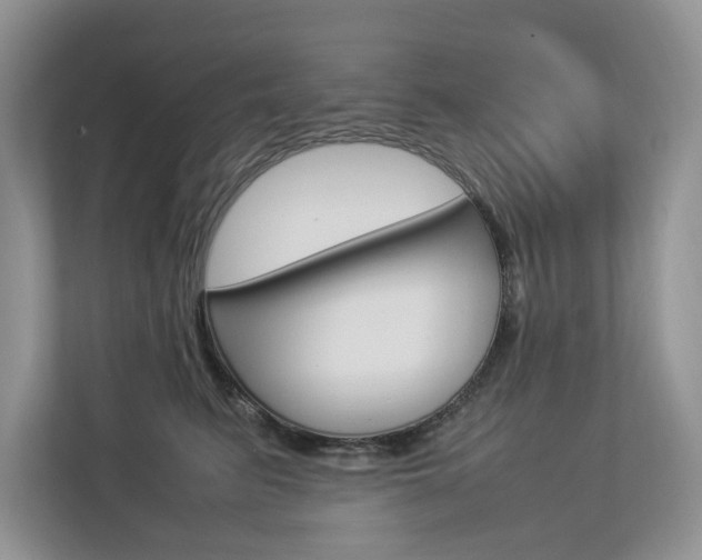 X0000112830615200908210940