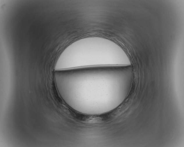 X0000112830617200908210940