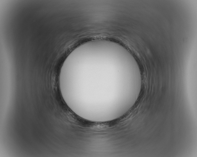 X0000112830619200908210940
