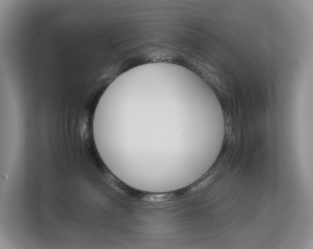X0000112830622200908210940