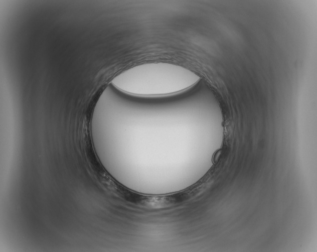 X0000112830623200908210940