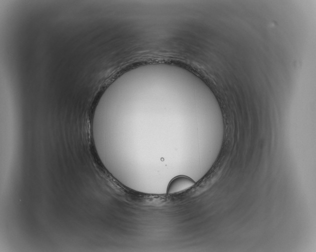 X0000112830624200908210940