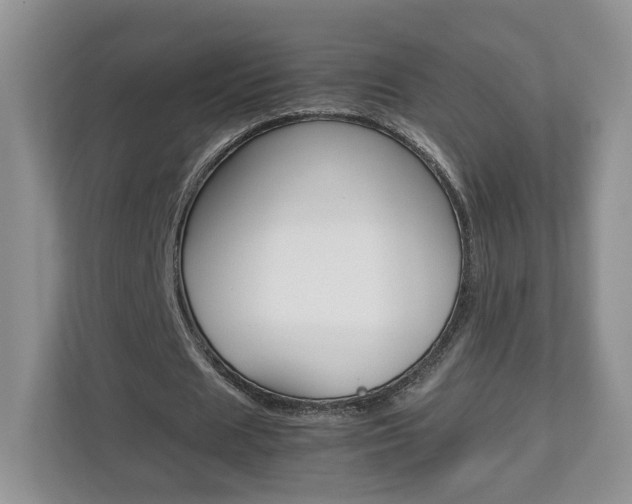 X0000112830625200908210939