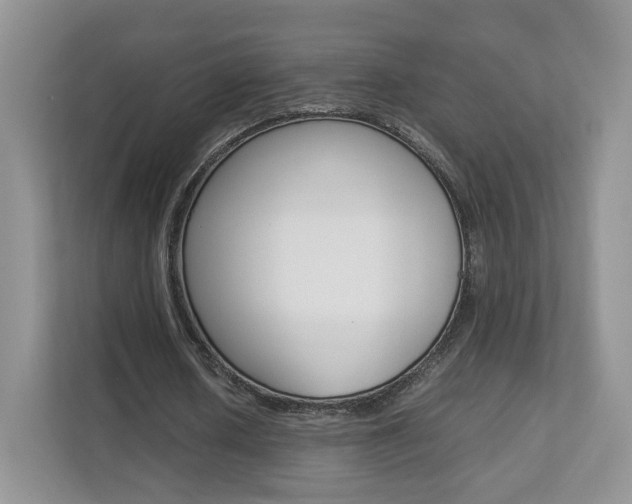 X0000112830626200908210939