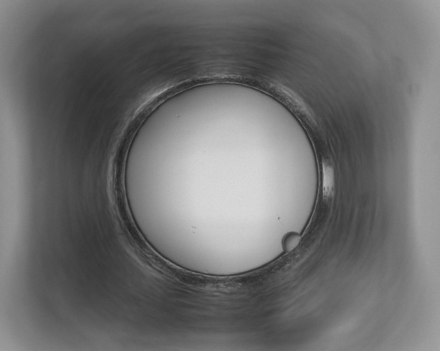 X0000112830627200908210939