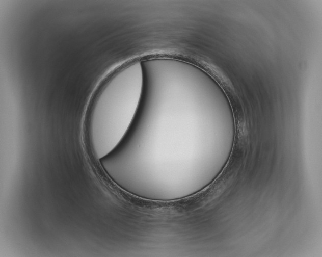 X0000112830628200908210939