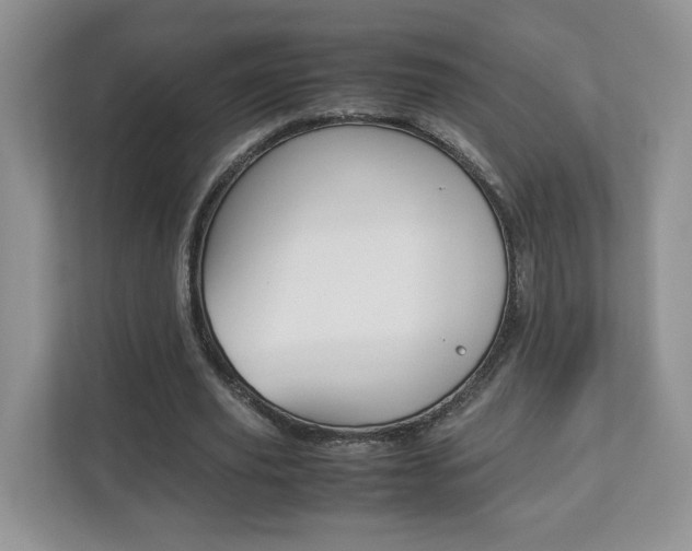 X0000112830629200908210939