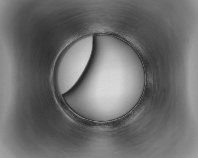 X0000112830630200908210939