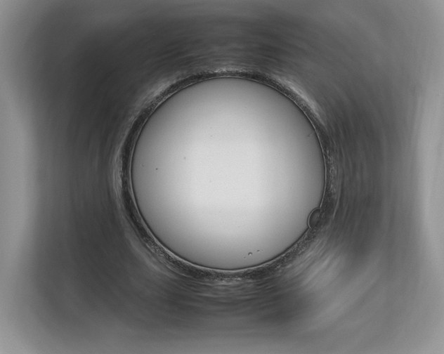X0000112830631200908210939