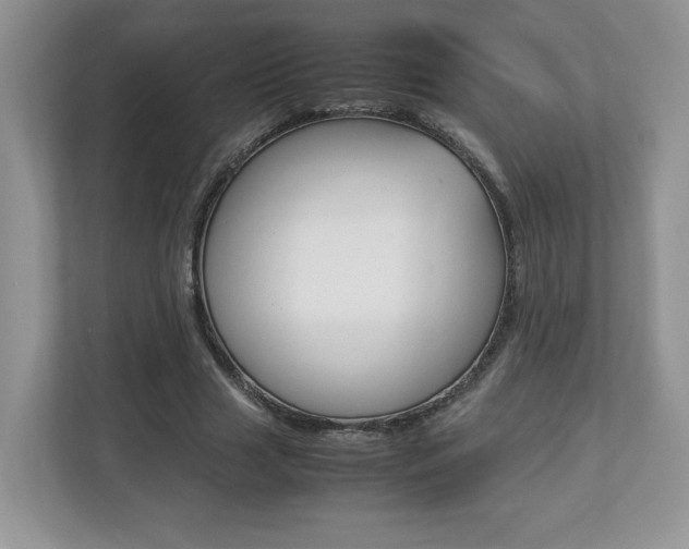X0000112830633200908210939