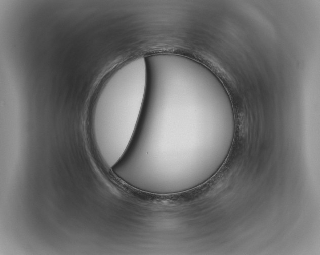 X0000112830634200908210939