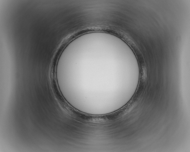 X0000112830636200908210939