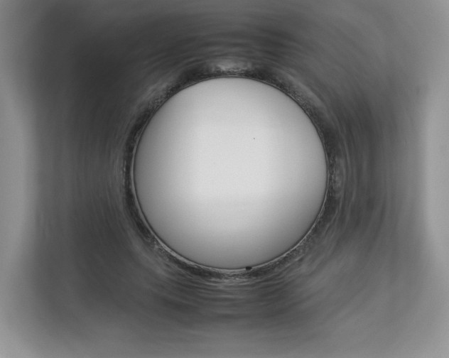 X0000112830639200908210939