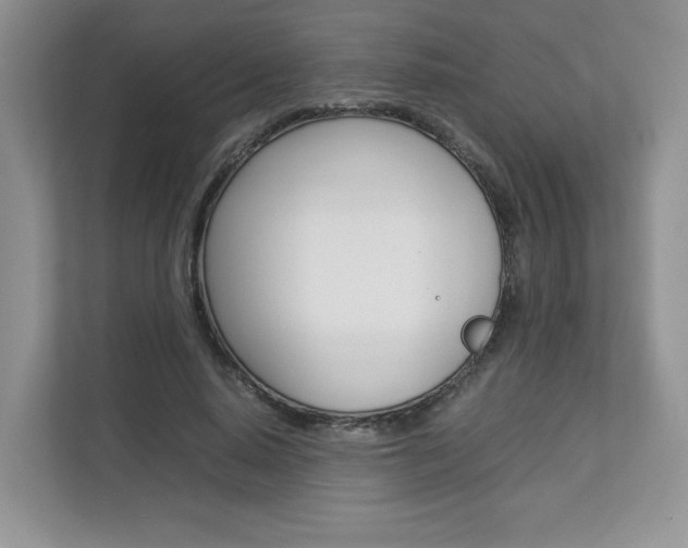 X0000112830640200908210939