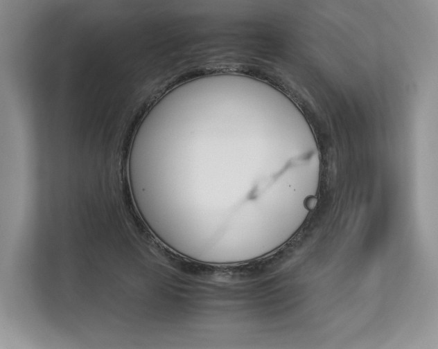 X0000112830641200908210939
