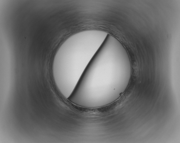 X0000112830642200908210939