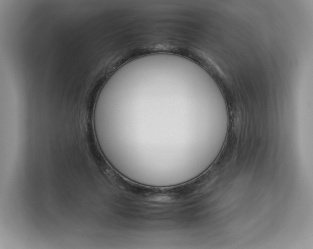 X0000112830643200908210939