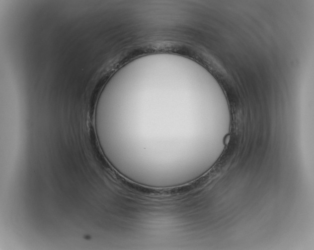 X0000112830644200908210939