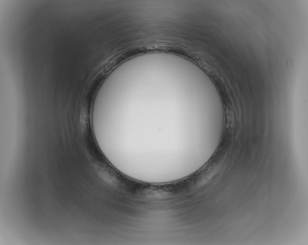 X0000112830648200908210939