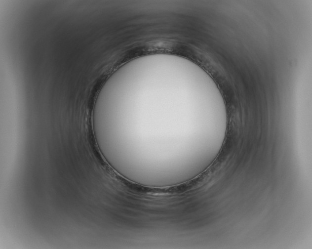 X0000112830649200908210939