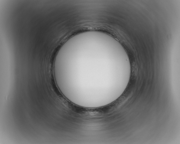 X0000112830650200908210939