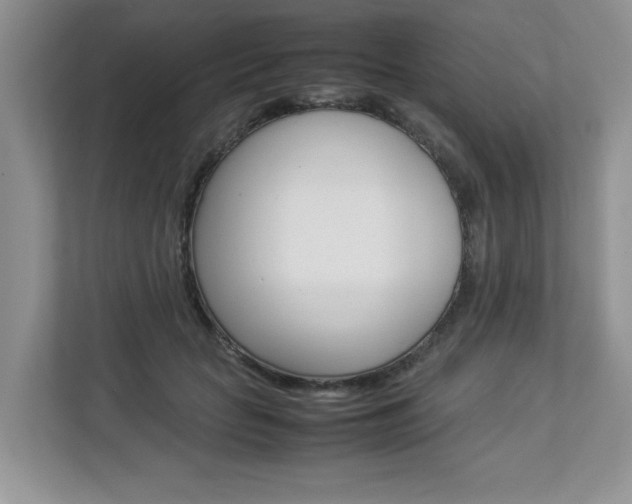 X0000112830653200908210940