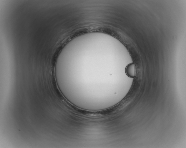 X0000112830654200908210940