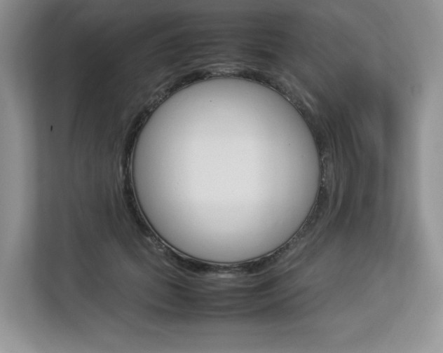 X0000112830655200908210940