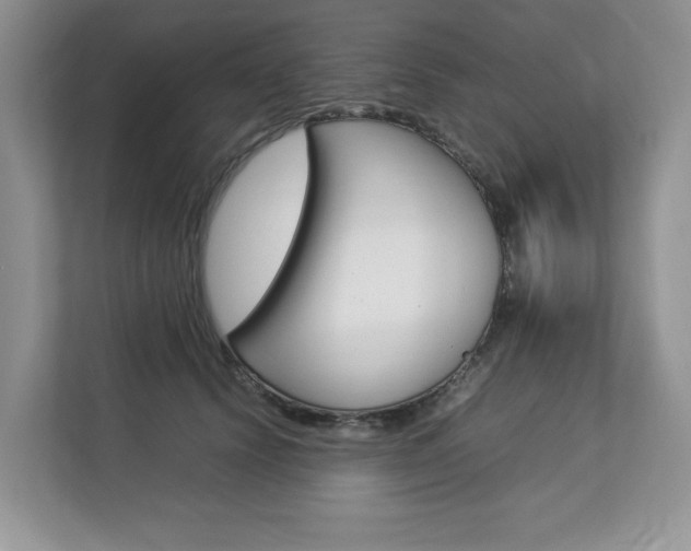 X0000112830656200908210940
