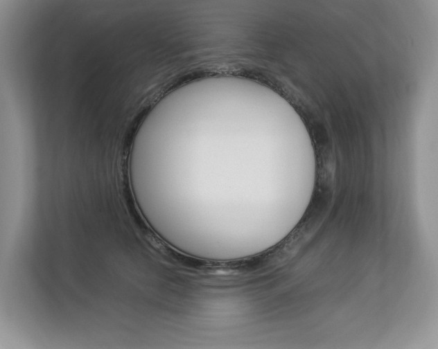 X0000112830658200908210940