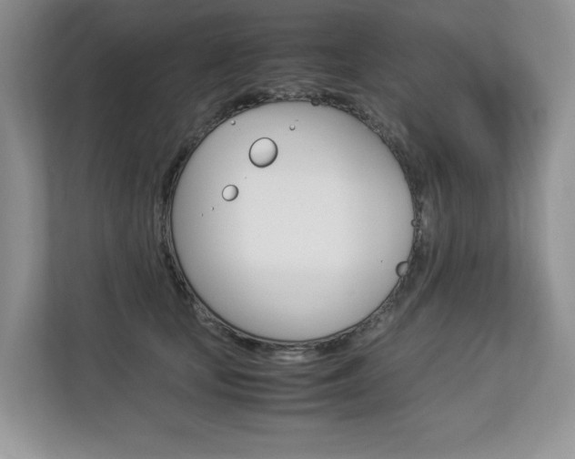 X0000112830659200908210940
