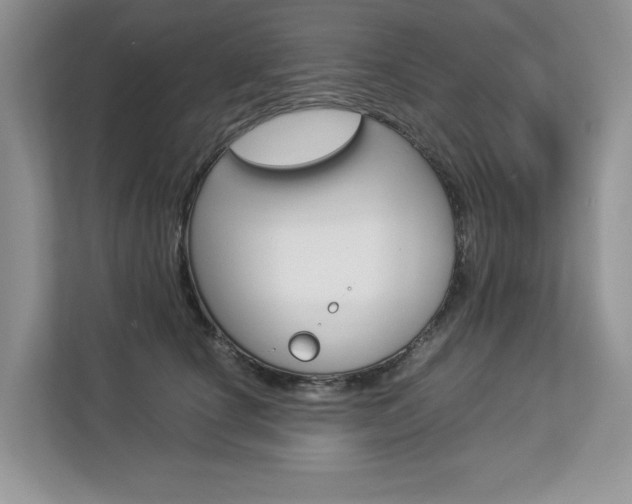 X0000112830660200908210940