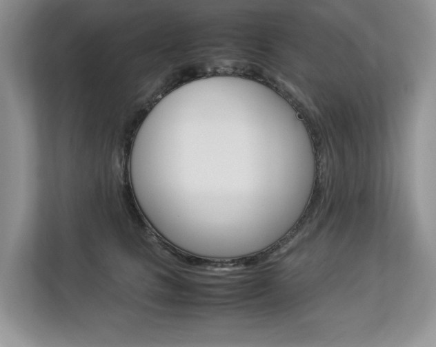 X0000112830661200908210940