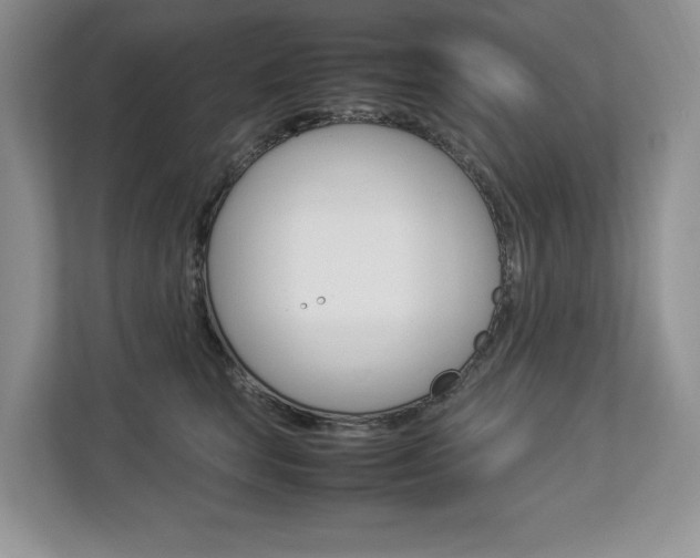 X0000112830663200908210940