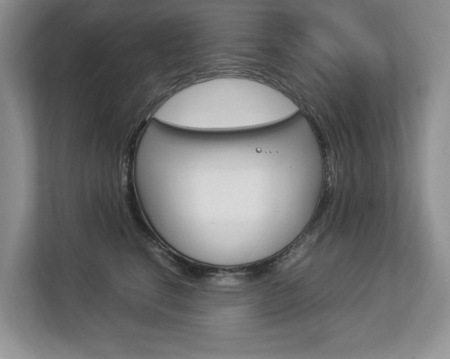 X0000112830664200908210940