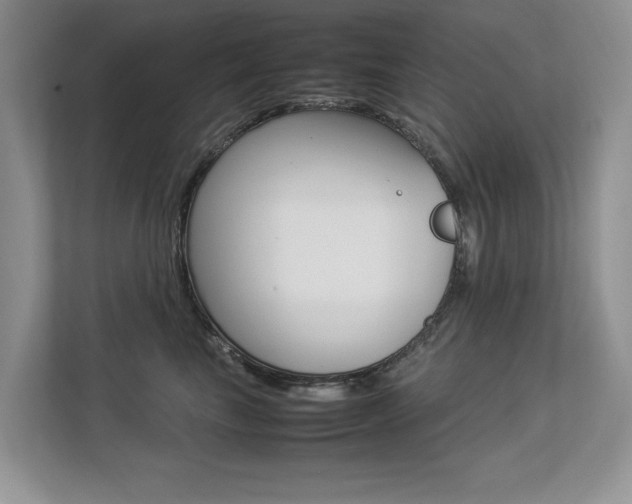 X0000112830665200908210940