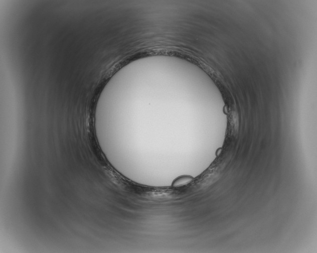 X0000112830668200908210940