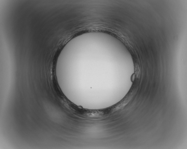 X0000112830670200908210940