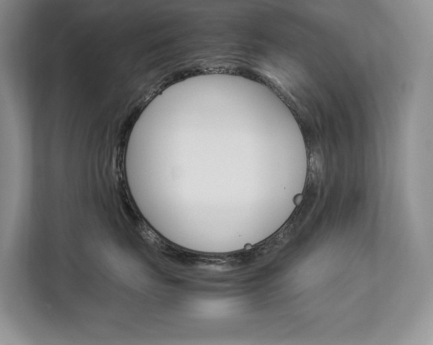 X0000112830671200908210940