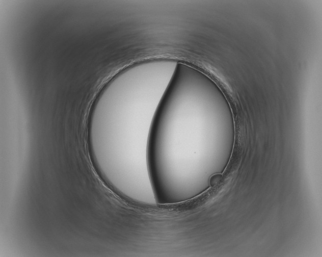 X0000112830673200908210939