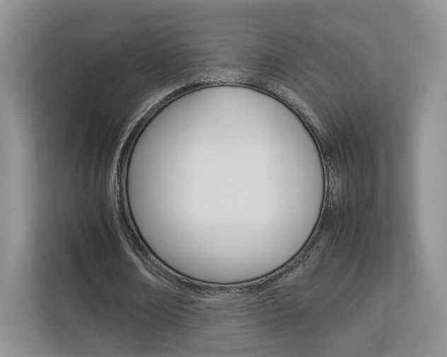 X0000112830674200908210939