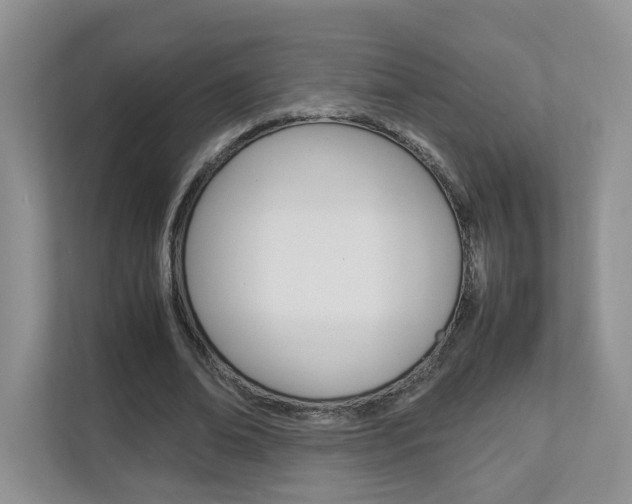 X0000112830678200908210939