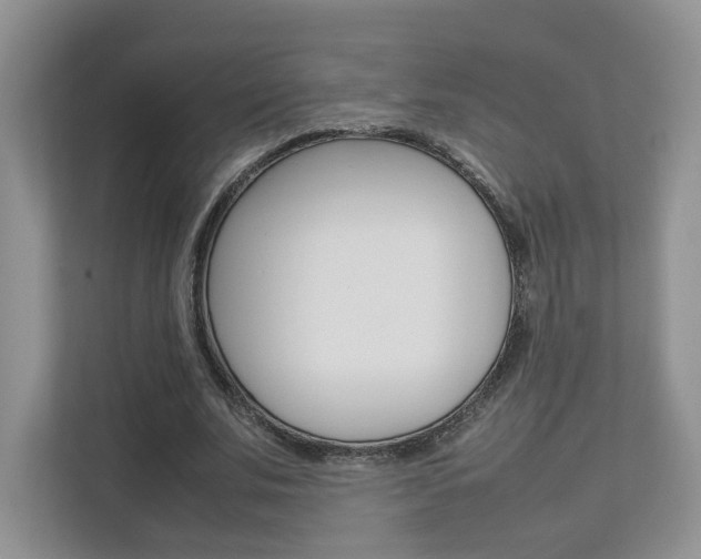 X0000112830679200908210939