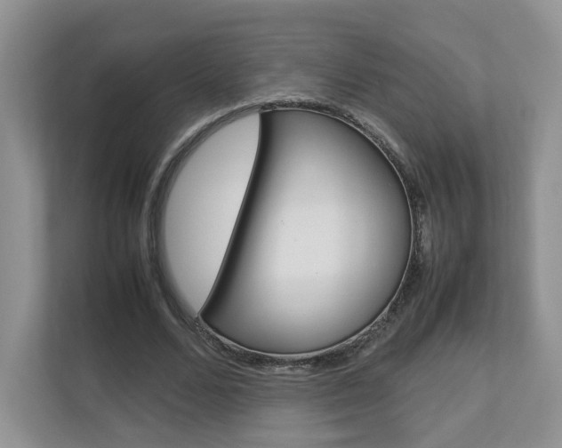 X0000112830680200908210939