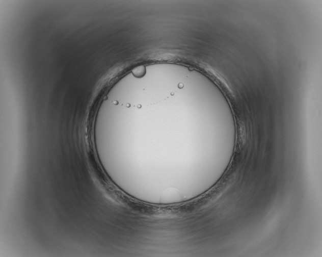 X0000112830682200908210939