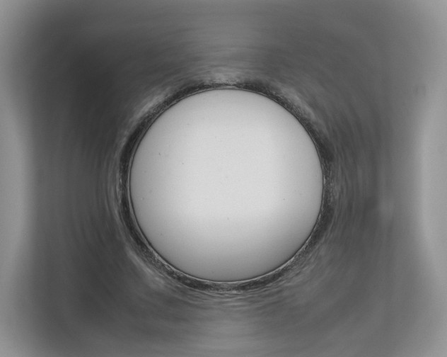 X0000112830683200908210939